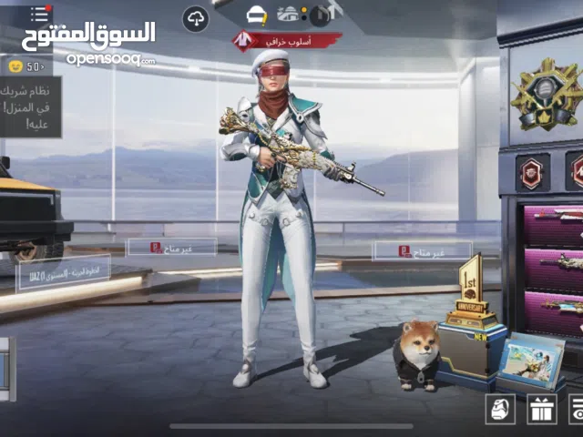 Pubg Accounts and Characters for Sale in Central Governorate