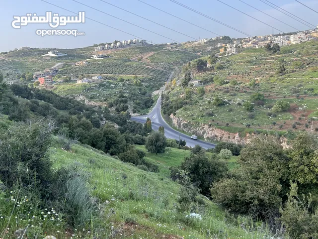 Residential Land for Sale in Amman Badr Jdedeh