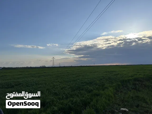 دروس خصوصي لجميع المواد من الصف الأول وحتى الخامس، بإسلوب بسيط ومميز  وبأسعار ممتازة