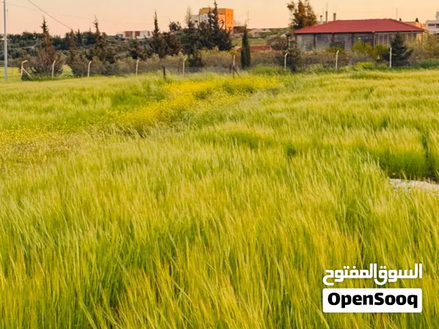 أرض للبيع حسبان