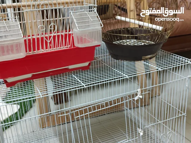 اقفاص طيور