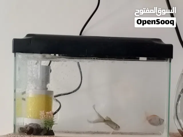 حوض للبيع اقرو الوصف