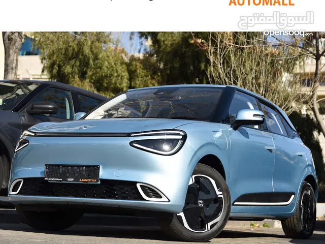 دونغ فينغ نامي بوكس كهربائية بالكامل 2025 Dongfeng Nammi Box Ev