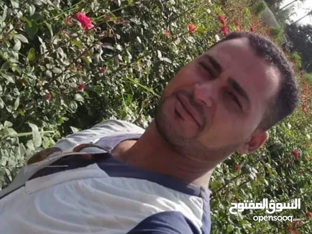 محمد احمد عبد المقصود
