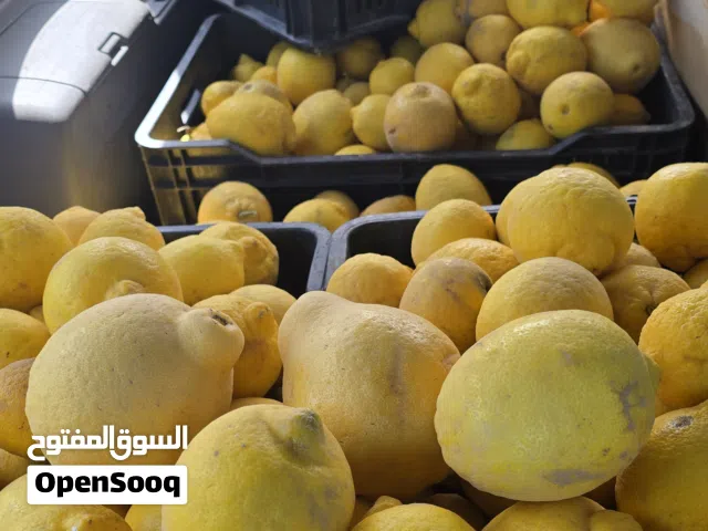 ليمون بسعر جمله الجملة