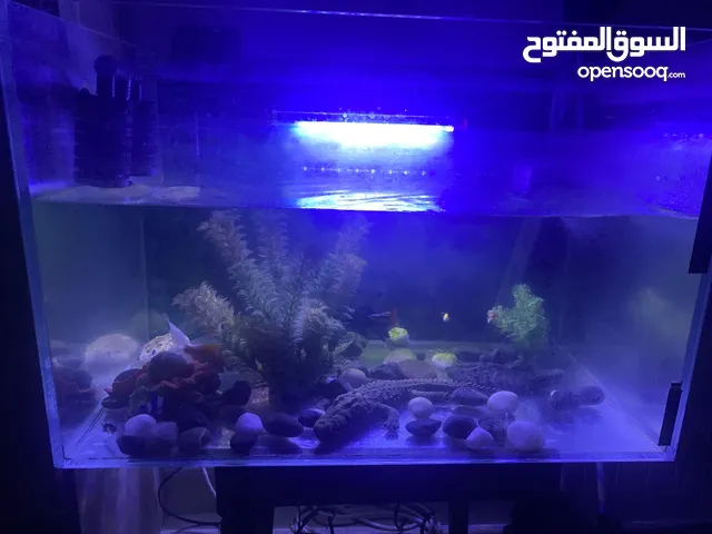 للبيع حوض سمك