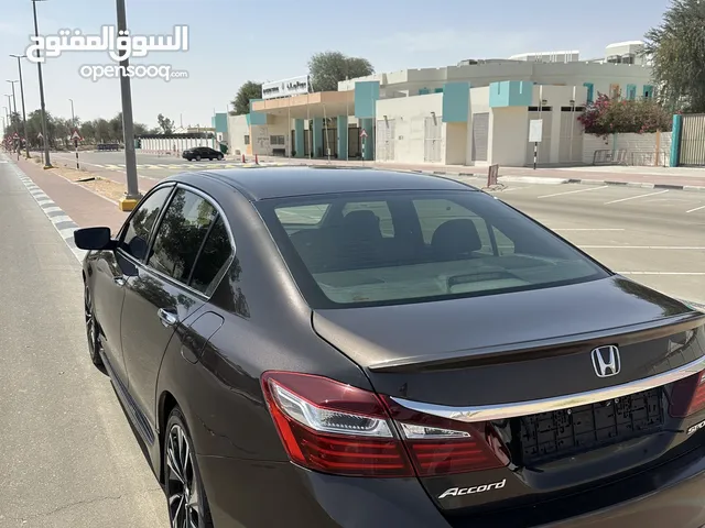 Used Honda Accord in Al Ain