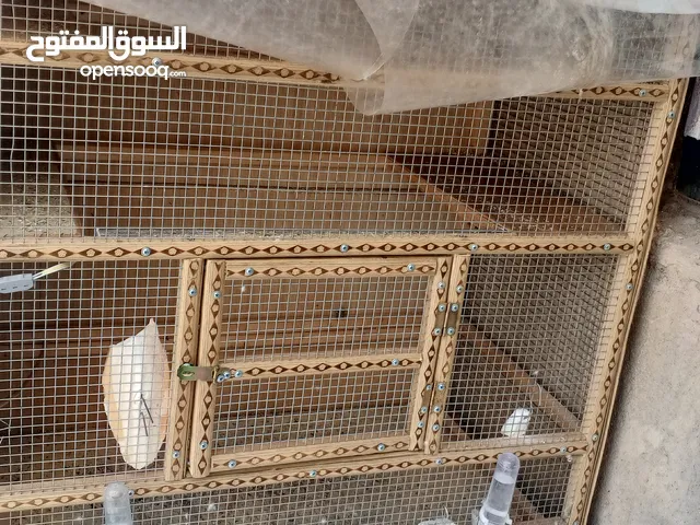 قفص طيور حب كوكتيل يرهم الكل الطيور أقر الوصف للاستفسار بالخاص