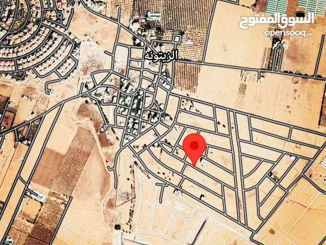 تملك الفرصة بشراء ارض منطقة الزيتونه خلف فلل الاندلسيه تابعه لأراضي جنوب عمان حوض الدفيانه