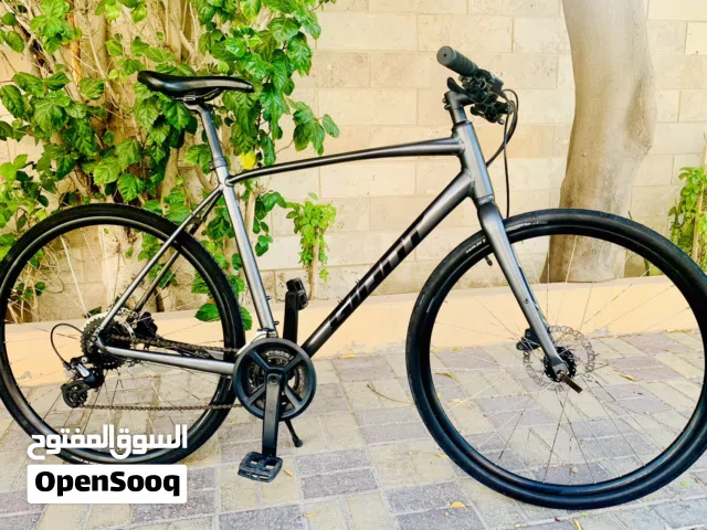 Giant Escape Hybrid Bike
