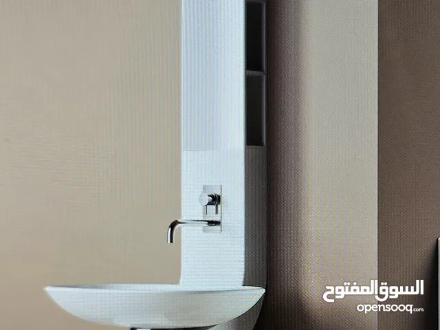 designer washing basin with mirror.