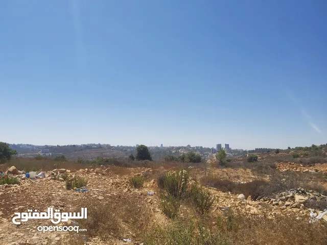 Residential Land for Sale in Ramallah and Al-Bireh Abu Qash