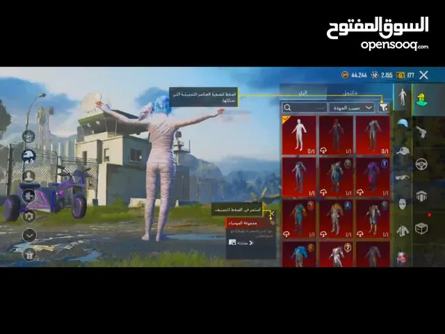 Pubg Accounts and Characters for Sale in Sana'a