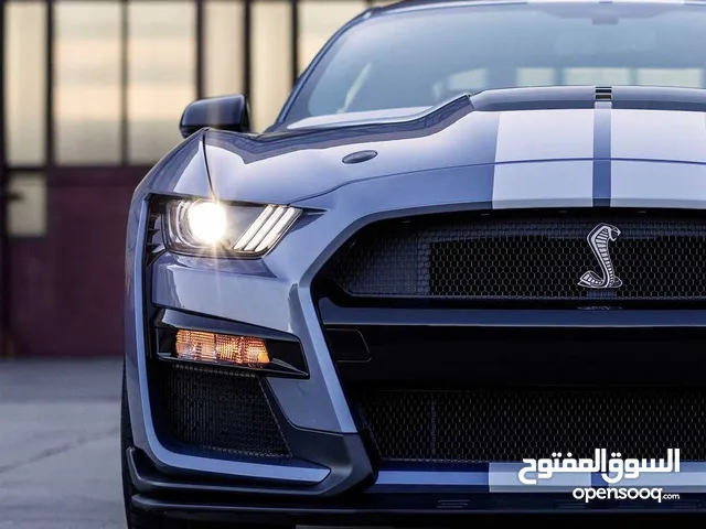 فهد
