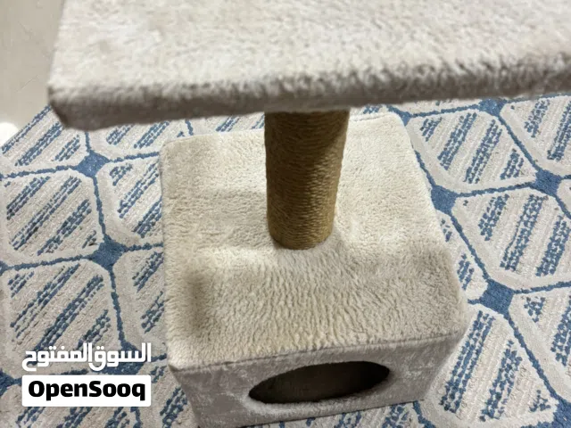 Cat house beige colour