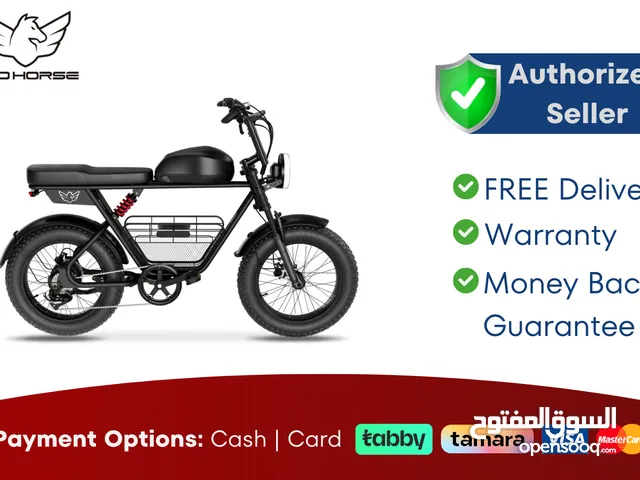 Wind Horse D5 Electric Bike