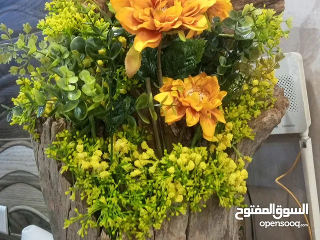 شجار طبيعي