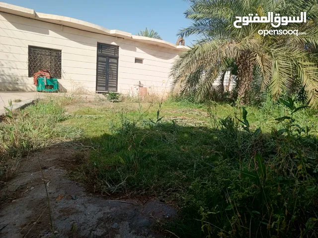 بستان مع دار