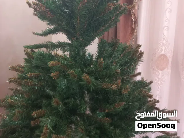 شجرة عيد الميلاد Christmas tree في الزرقاء شارع الكرامه