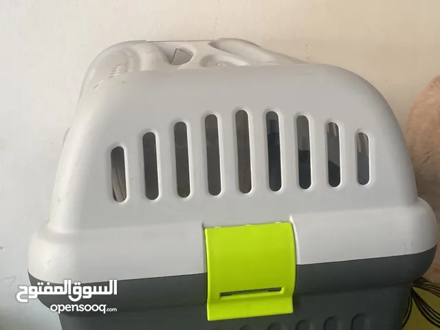 بيع بيت للقطط وبوكس حالتهم ممتازه