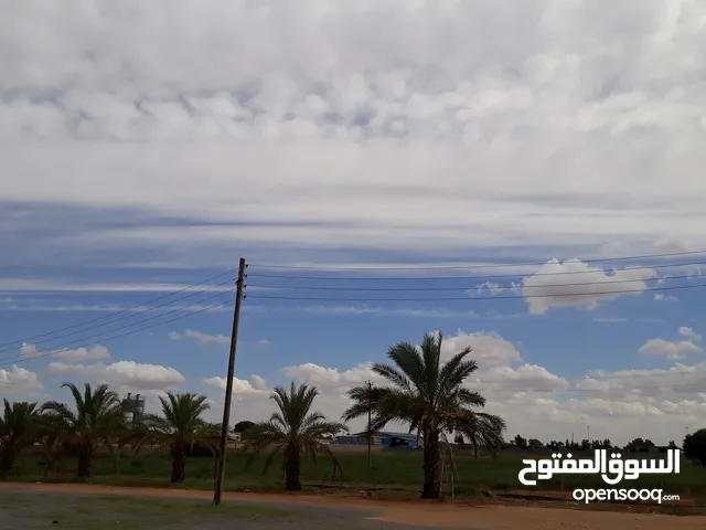 Mixed Use Land for Rent in Tripoli Qasr Bin Ghashir