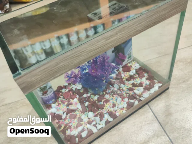 حوض سمك مجهز بالكامل المقاسات موجوده داخل الاعلان فقط عبي الماء و حط سمكاتك