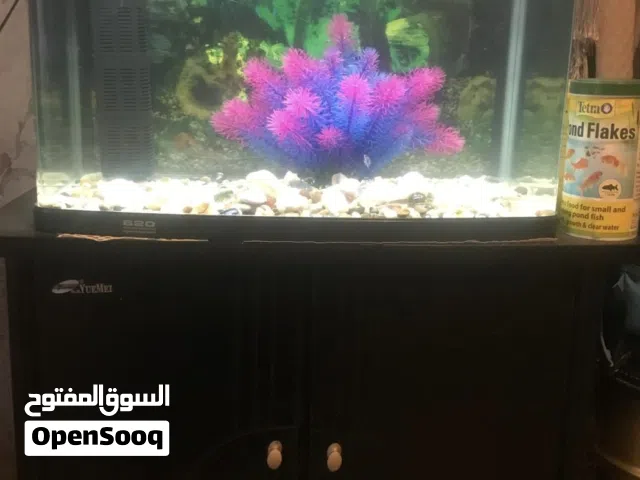 Fish tank for sale