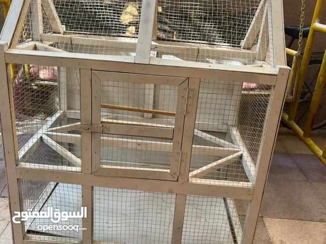 قفص طيور للبيع