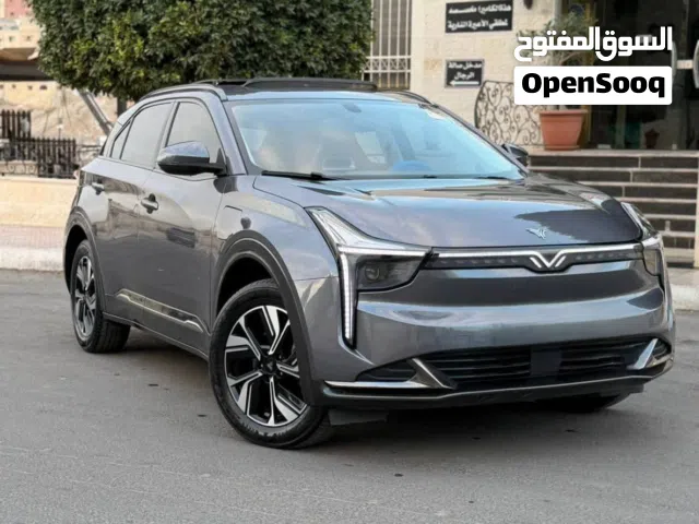 2022, Neta, U, Standard