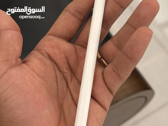 Apple Pencil (2nd Generation)