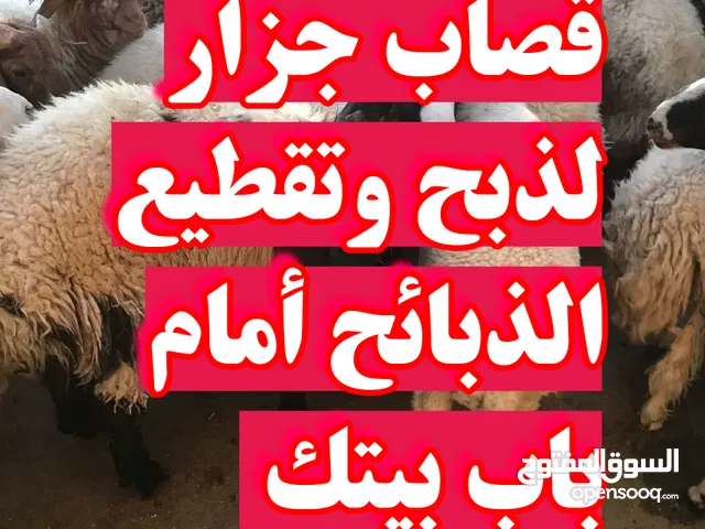 قصاب جزار متنقل تحت الطلب