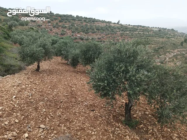 Mixed Use Land for Sale in Nablus Other