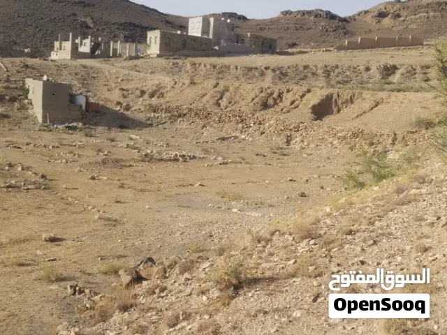 Residential Land for Sale in Sana'a Qa' Al-Qaidi