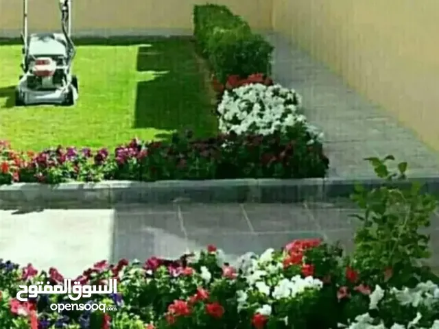 تنسيق وترتيب الحدائق وزراعة العشب الطبيعي وعمل شبكات الرى