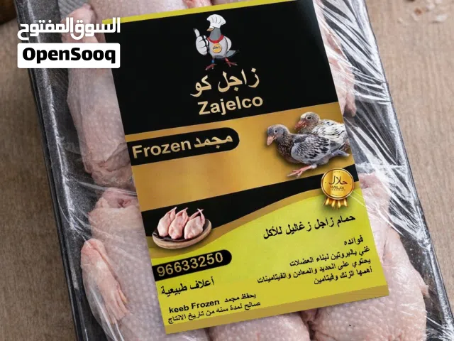 للبيع زغاليل زاجل وفري تاكسس لحم وبيض فري