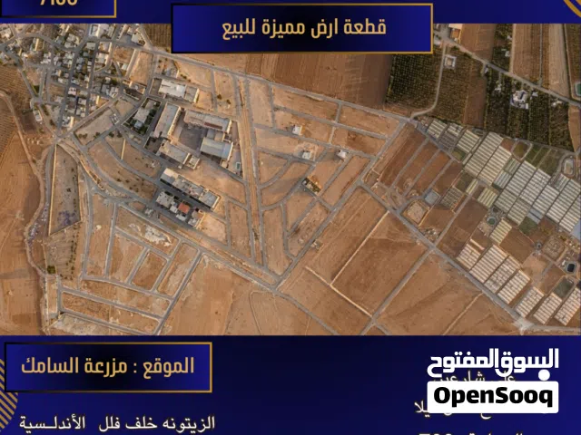 Residential Land for Sale in Amman Al-Zaytouneh