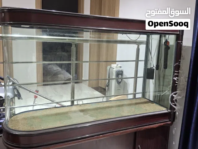 حوض حوت كبير