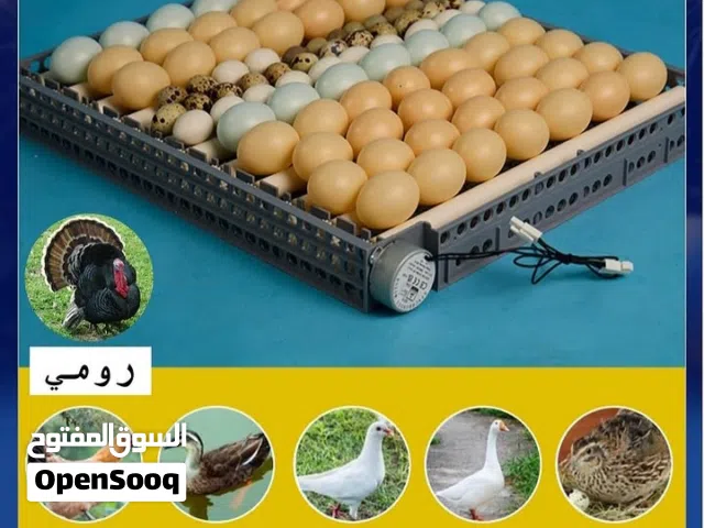 فقاسه براهمه 90 بيضه فل اوتماتيك