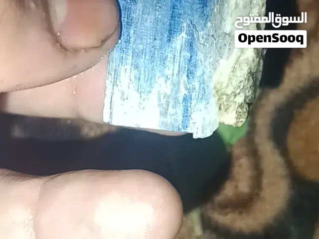 احجار الكاينت
