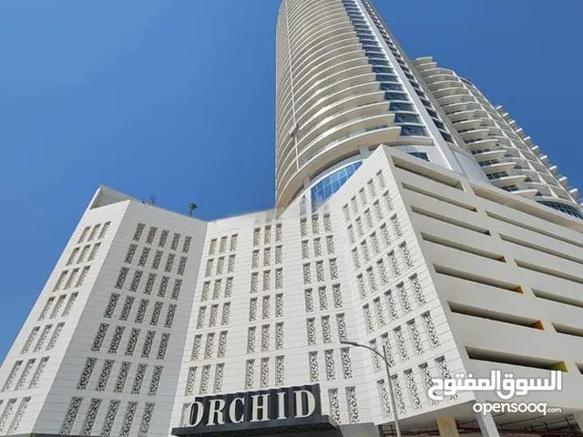 استوديو للايجار مفروش شامل الكهرباء والماء والانترنت في برج ( Spiral Orchid Residence ) في السيف