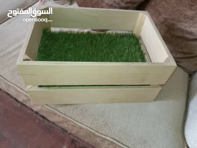 بوكس السلاحف والقطط