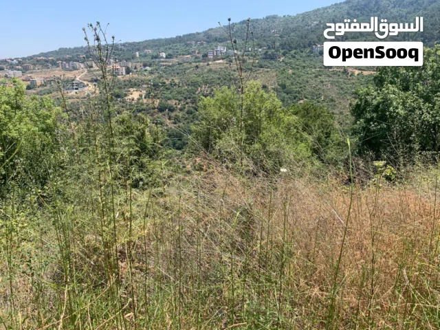 Land for Sale in Abey –  1,170 m2