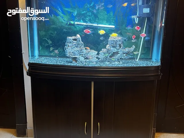 حوض سمك زينه كبير جاهز مع الاسماك