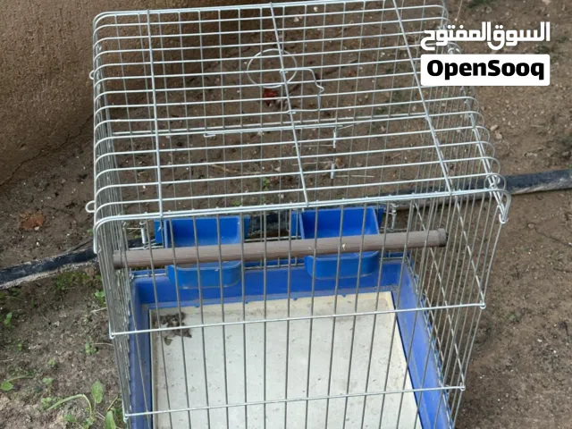 قفص ببغاء يبي غسله بس