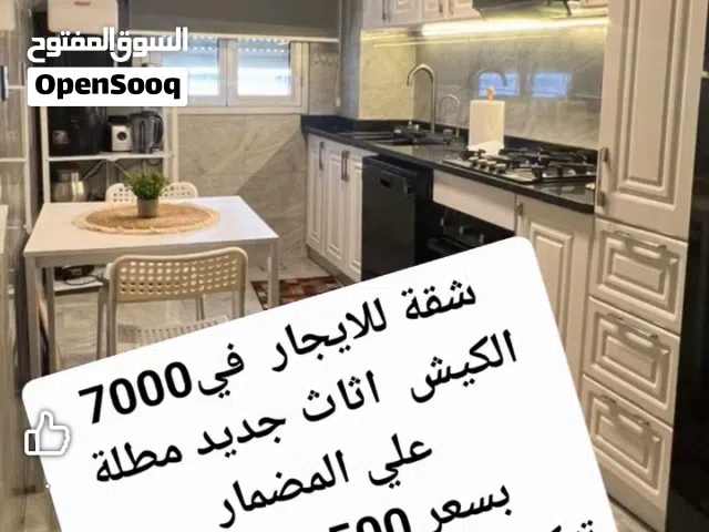 شقه للايجار