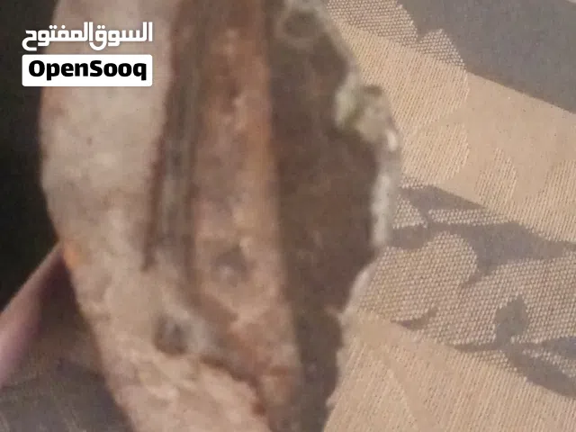 علبة لعب داما عمرها 65 سنة مقتنيات اثرية