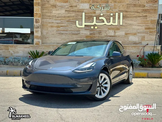 Tesla Model 3 2021