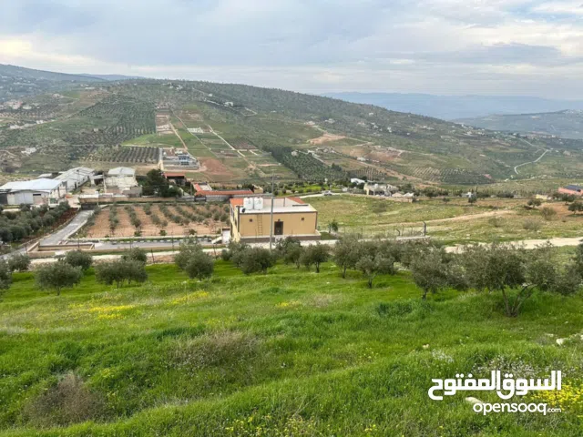 Farm Land for Sale in Zarqa Sarout