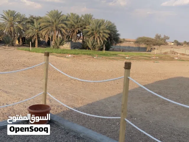 3 Bedrooms Farms for Sale in Al Sharqiya Al Mudaibi