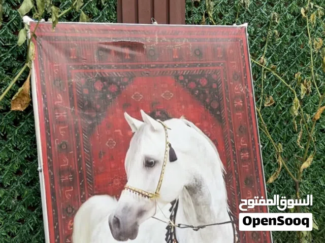 ت للبيع لوحه حط سعرك واخدها